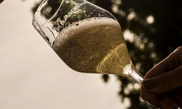 Dégustation des Champagnes A. Margaine-photo