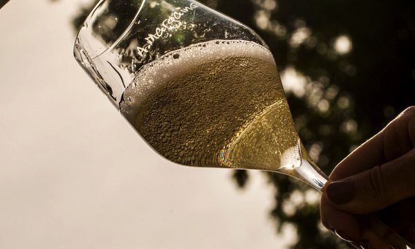 Degustación de Champagnes A. Margaine-photo