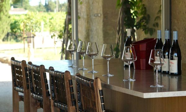 Guided tasting-photo