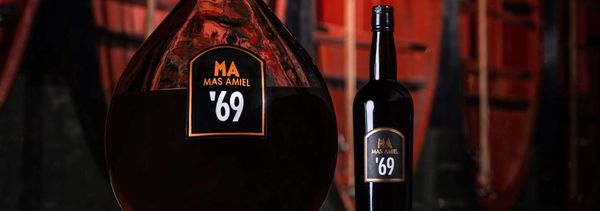 Dégustez gratuitement les 25 cuvées du Mas Amiel-photo
