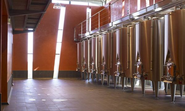 Dalla vite al vetro-photo