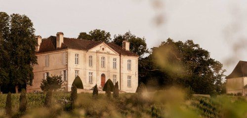 Château Viella photo