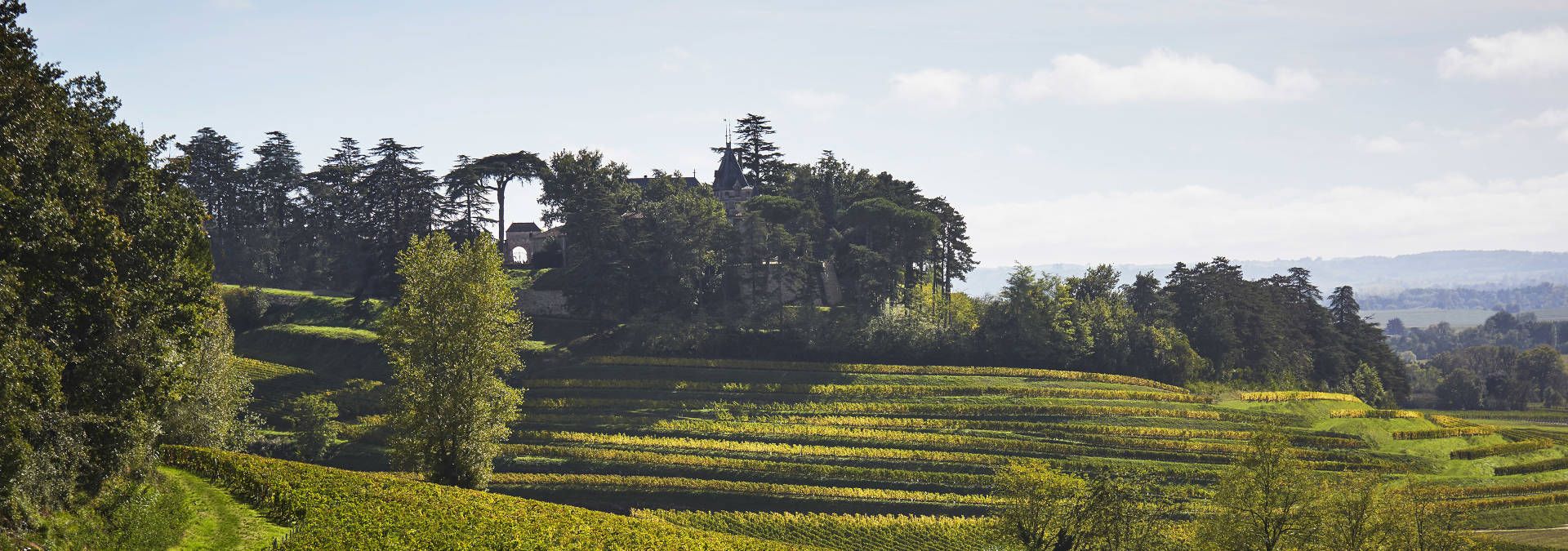 Château de Pressac - Rue des Vignerons