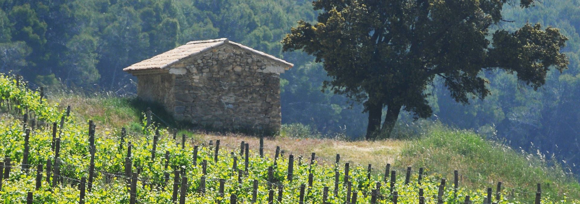 Château de Calavon - Rue des Vignerons