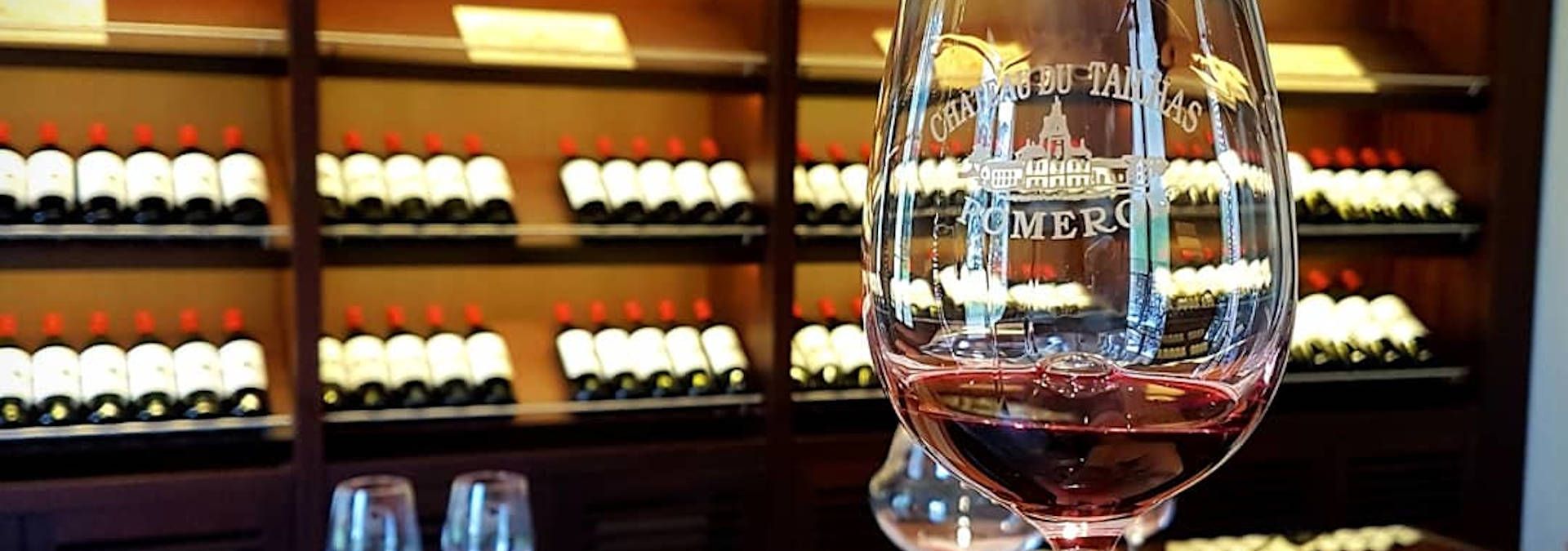 Visit of the vineyard &amp; storehouse, and tasting