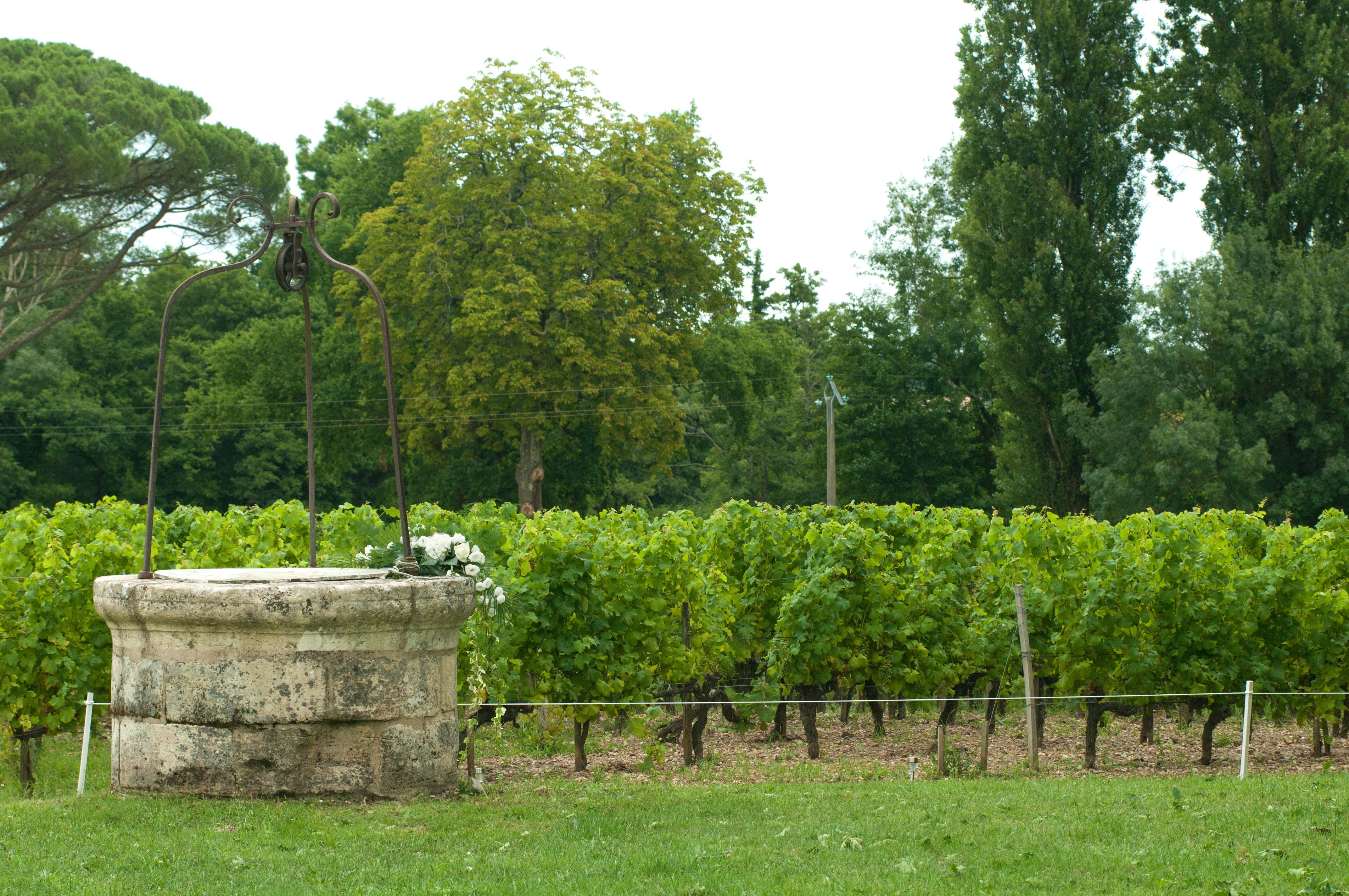 Château Haut Nouchet - Rue des Vignerons