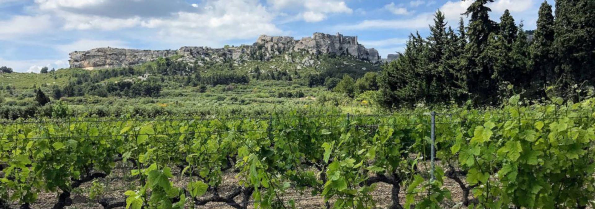 Mas Sainte Berthe - Rue des Vignerons