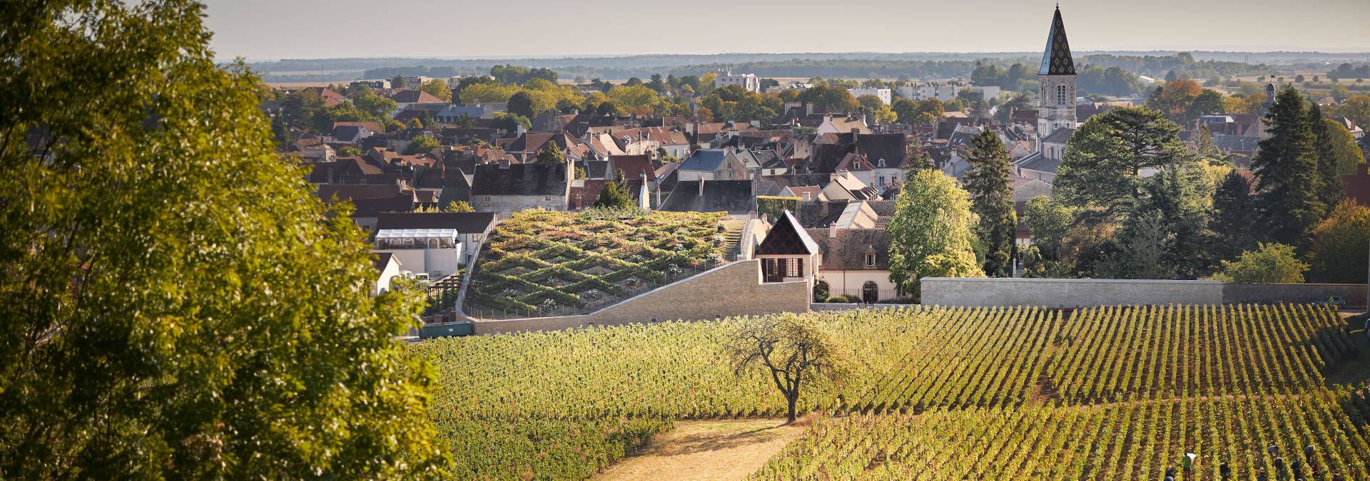 Domaine Jean-Claude Boisset - Rue des Vignerons