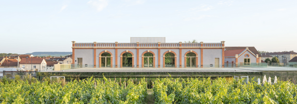 Voyage sensoriel au cœur du champagne-photo