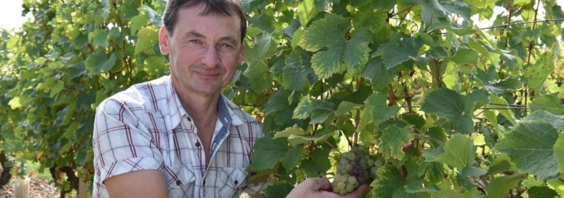 Domaine Sylvain Gaudron - Rue des Vignerons