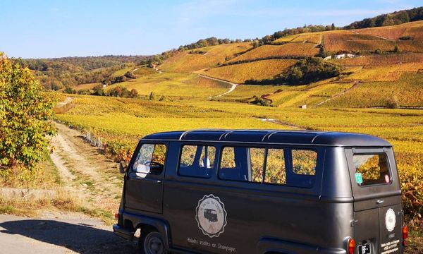 Excursión de medio día a Champagne en furgoneta de época, desde Epernay-photo