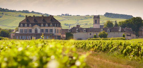 Château de Pommard photo