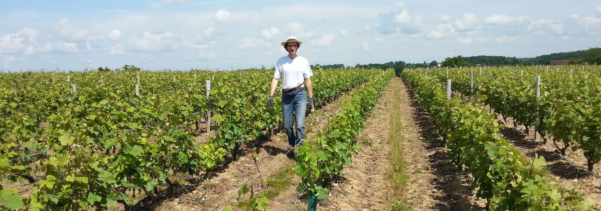 Domaine de Vodanis - Rue des Vignerons