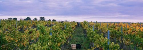 Domaine de la Bouche du Roi photo