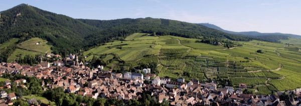 Guided walk in Ribeauvillé-photo