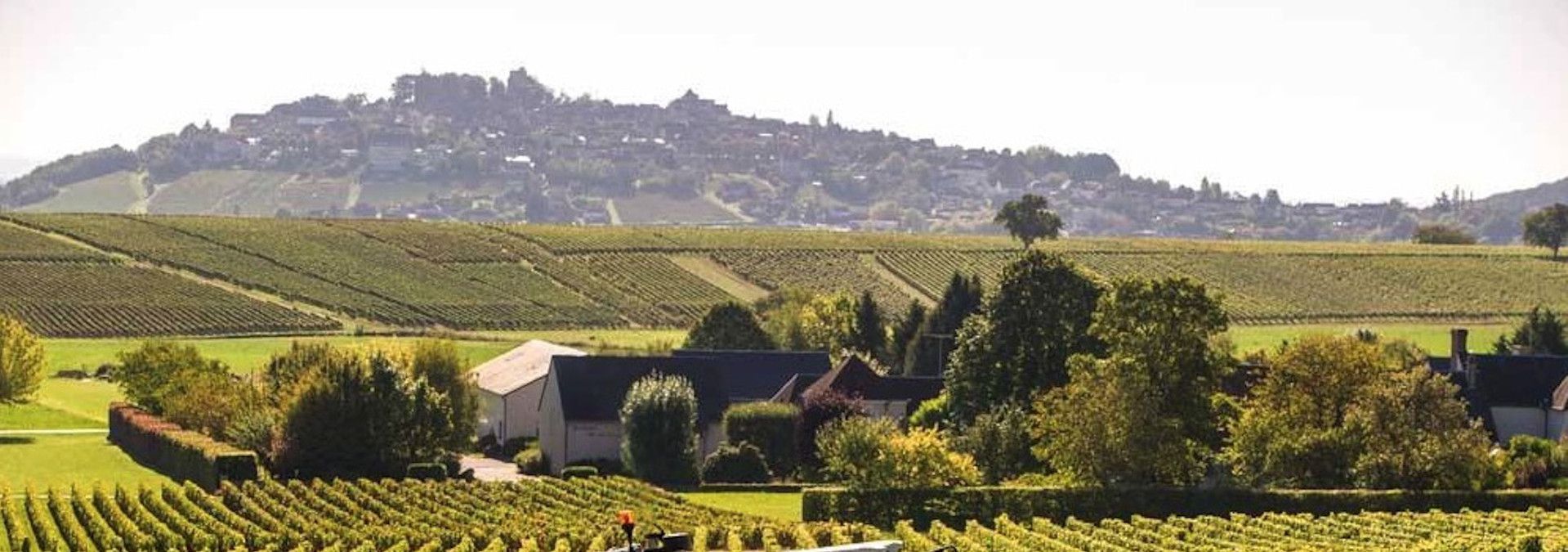 Domaine de la Garenne - Rue des Vignerons