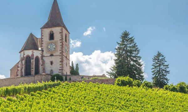 Alsace Full Day Wine Tour, from Strasbourg-photo