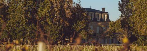 Château Paloumey photo