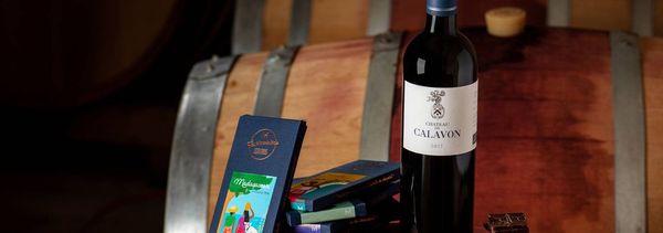 Vins prestigieux et chocolats 100% origine-photo