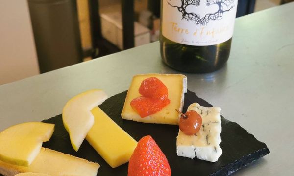 Cheese & Wine pairing-photo