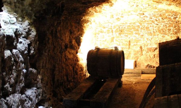 Discovery of the winery-photo