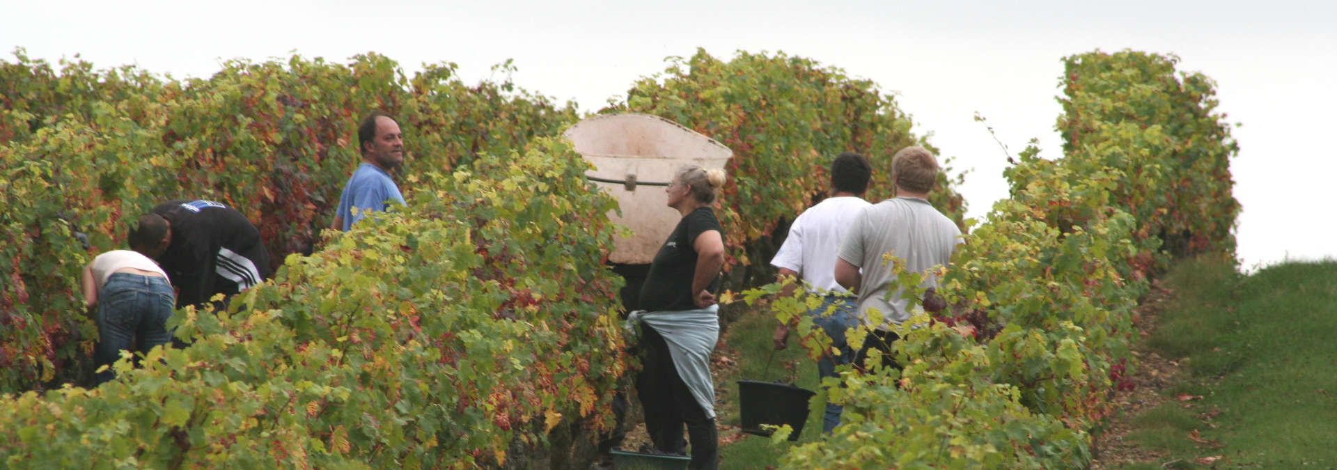 Domaine Pierre Jautrou - Rue des Vignerons