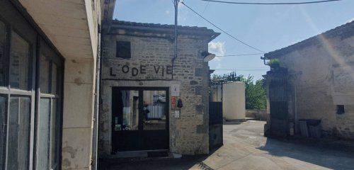 Domaine de la Chevalerie - Vignoble Pelletant photo