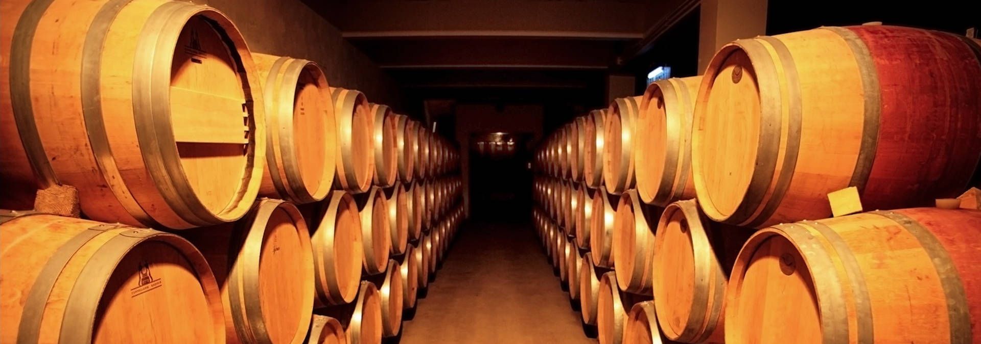 Vignobles Jean-Louis Trocard - Rue des Vignerons