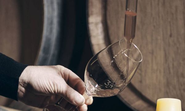 Descubra la bodega y los vinos biodinámicos-photo