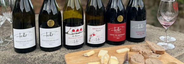 Beaujolais-Erfahrung-photo