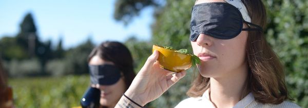 Initiation Géosensorielle-photo