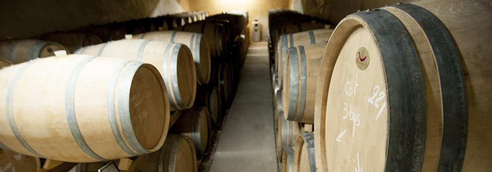 Domaine les Pierres d'Aurèle - Rue des Vignerons