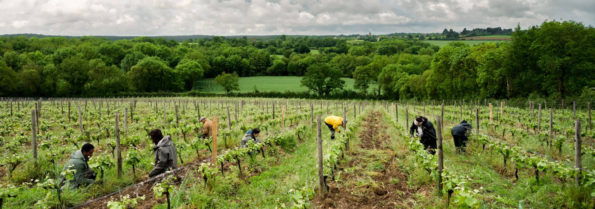 Domaine de Haute Perche - Rue des Vignerons