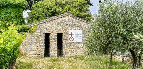 Domaine Enclos de la Croix photo