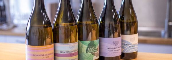 La dégustation de nos vins-photo