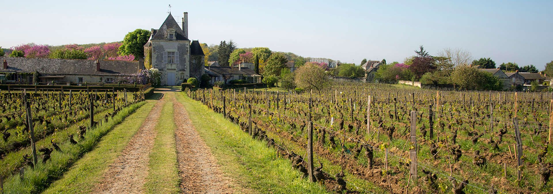 Château de Chaintres - Rue des Vignerons 