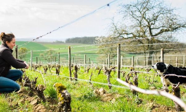 Visit and tasting-photo