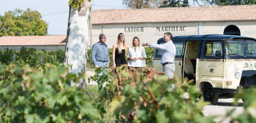 Château Latour-Martillac, Grand Cru Classé photo