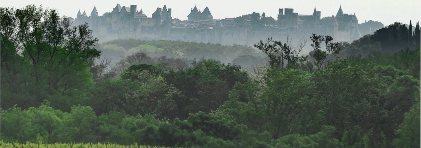 Domaine de la Sapinière - Rue des Vignerons
