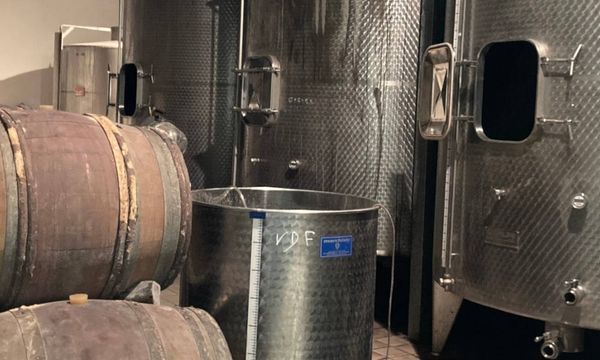 Découverte du domaine-photo