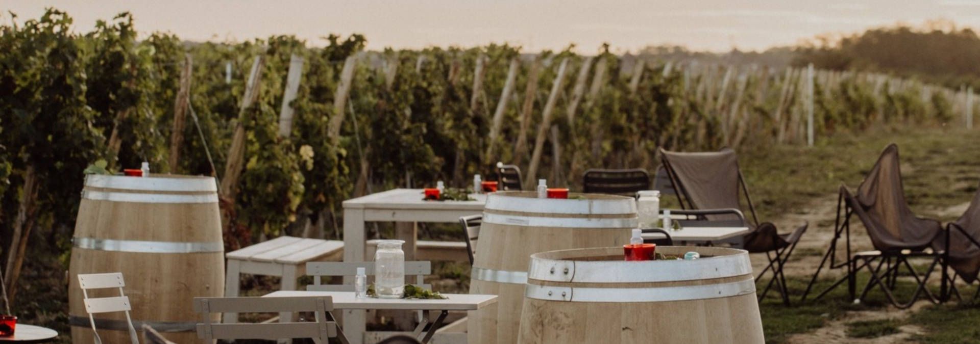 ⭐️ Domaine de la Bouche du Roi Tour ️ Reviews, Price 2024