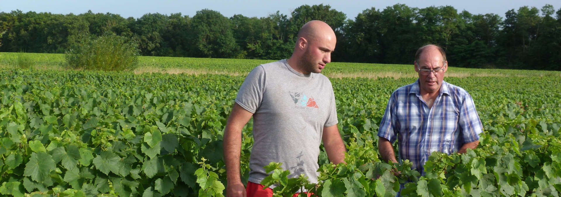 Domaine Poupat et Fils - Rue des Vignerons