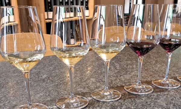 8-wine tasting-photo