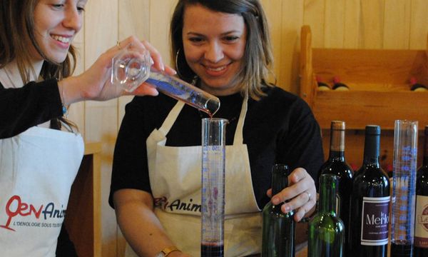 My eco-responsible wine blend-photo
