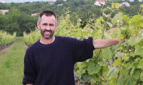 Discovery of Malbec in the heart of Cahors-photo