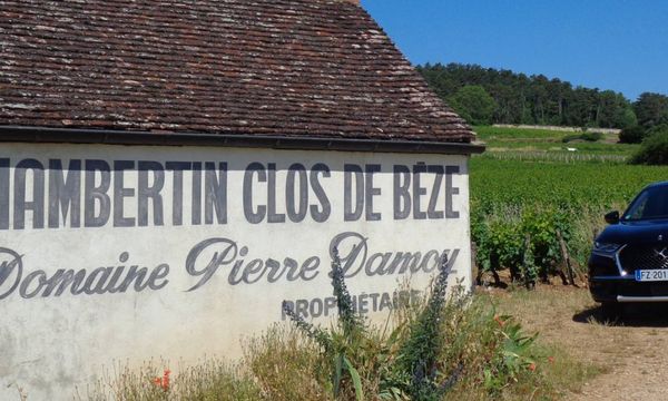 Full day of guided tastings in Burgundy-photo