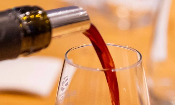 Dégustation vins et fromages, 5 vins du Sud-Ouest-photo