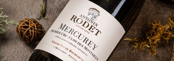 Jornada de puertas abiertas de invierno-photo