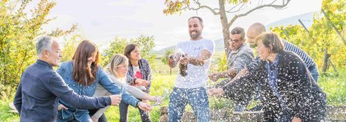 Domaine Mann - Vignoble des 3 Terres photo