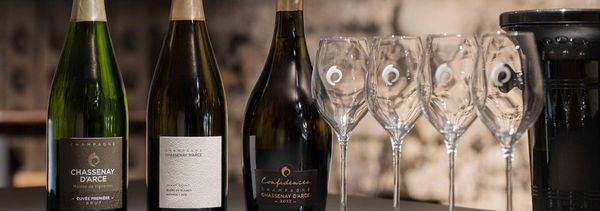 Dégustation de 3 cuvées-photo